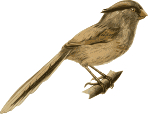 Paradoxornis Heudei
