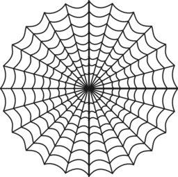 Spiders Web