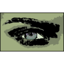download Auge clipart image with 45 hue color
