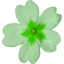download Flower 10 clipart image with 45 hue color