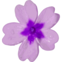 download Flower 10 clipart image with 225 hue color