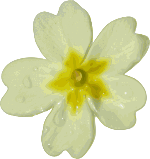 Flower 10