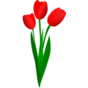 download Three Red Tulips clipart image with 0 hue color