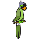 download Mascarin Parrot clipart image with 45 hue color