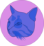Blue Cat