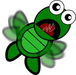 Turtle Flapping