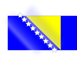 Flag Bih Almir