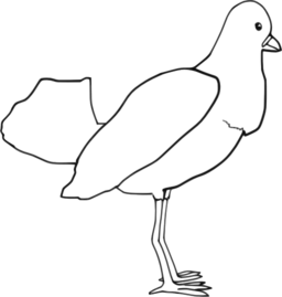 Bird Outline