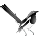 download Oriental Magpie Robin clipart image with 45 hue color