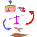 Thermoregulation