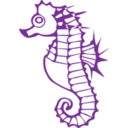 download Seahorse clipart image with 45 hue color