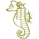 download Seahorse clipart image with 180 hue color