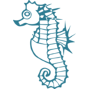 download Seahorse clipart image with 315 hue color