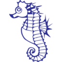 Seahorse