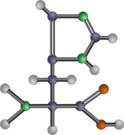 Histidine Amino Acid