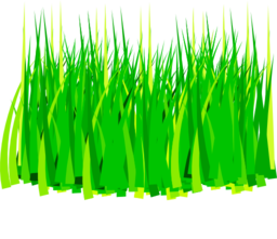 Grass