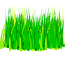 Grass