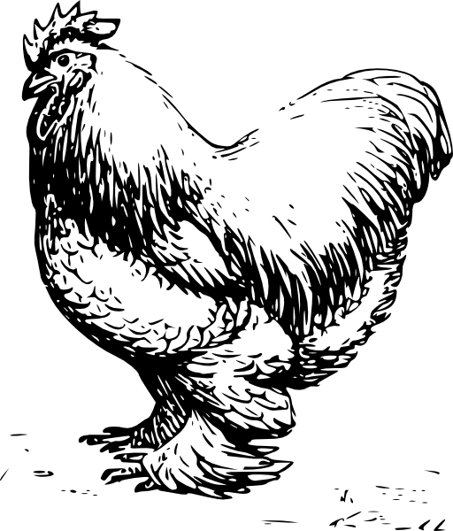 Cochin