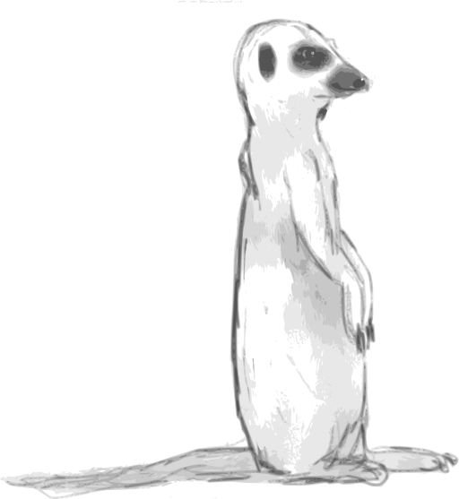Meerkat Sketch