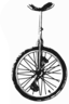 Unicycle