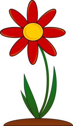 Red Flower