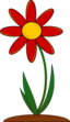 Red Flower