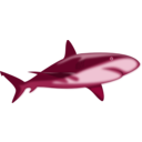 download Shark Shaded clipart image with 135 hue color