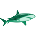 download Shark Shaded clipart image with 315 hue color