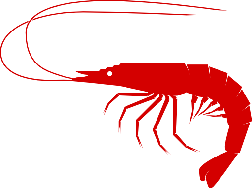 Shrimp
