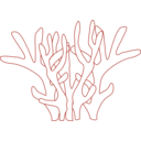 download Corals clipart image with 180 hue color