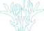 Corals