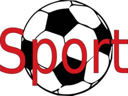 Soccer Ball Icon