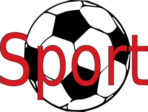 Soccer Ball Icon