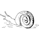 download Snail clipart image with 0 hue color