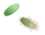 Laponite Peg
