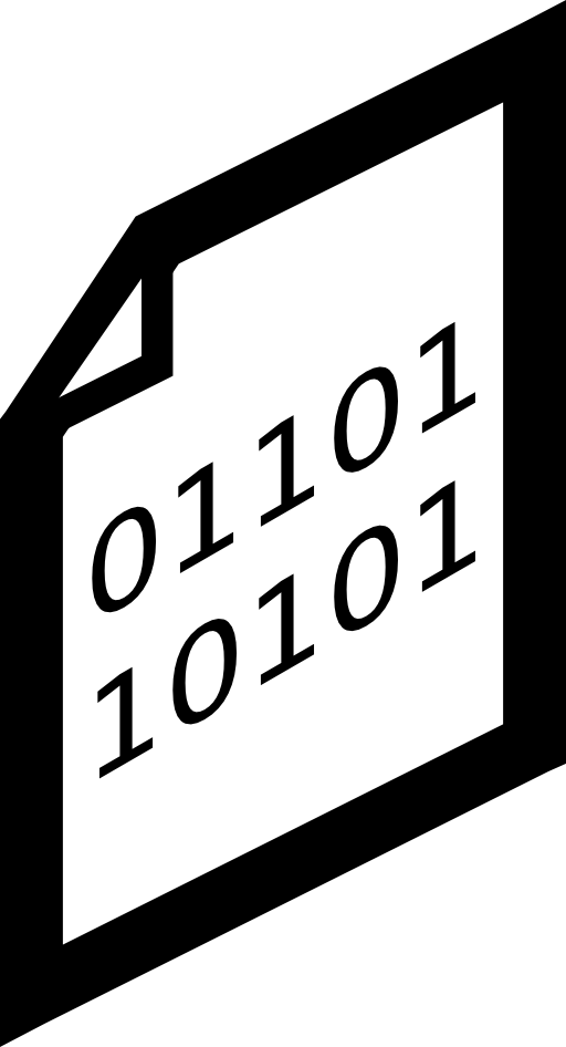 Binary File