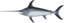 Swordfish