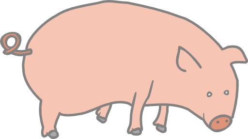 Pig Marcelo Caiafa1