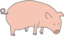 Pig Marcelo Caiafa1