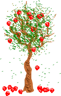 Apple Tree