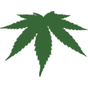 Cannabis Leaf