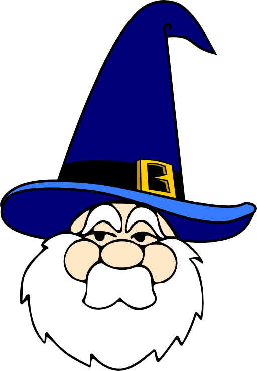 Wizard In Blue Hat