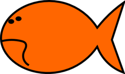 Goldfish