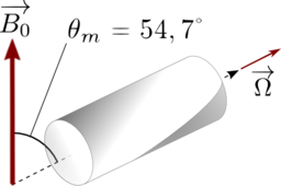 Ssnmr Spinning Rotor