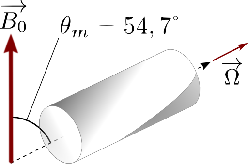Ssnmr Spinning Rotor