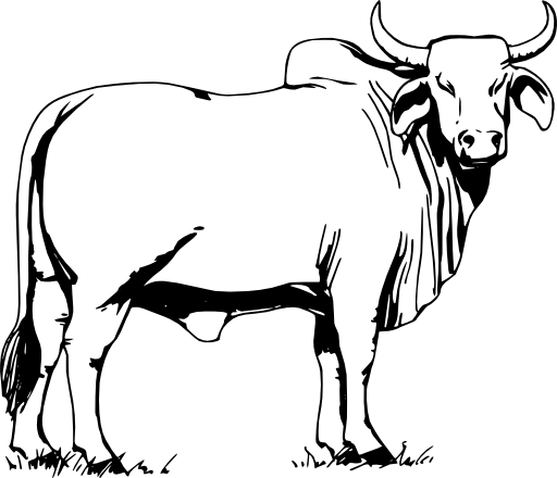 Brahman