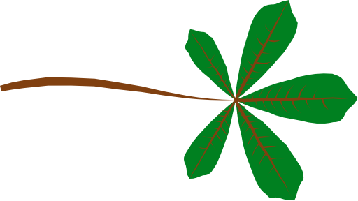 Palmate Leaf 5 Lobed
