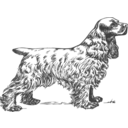 Coker Spaniel Grayscale