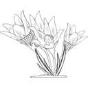 download Anemone Patens clipart image with 270 hue color