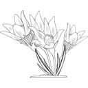 download Anemone Patens clipart image with 0 hue color